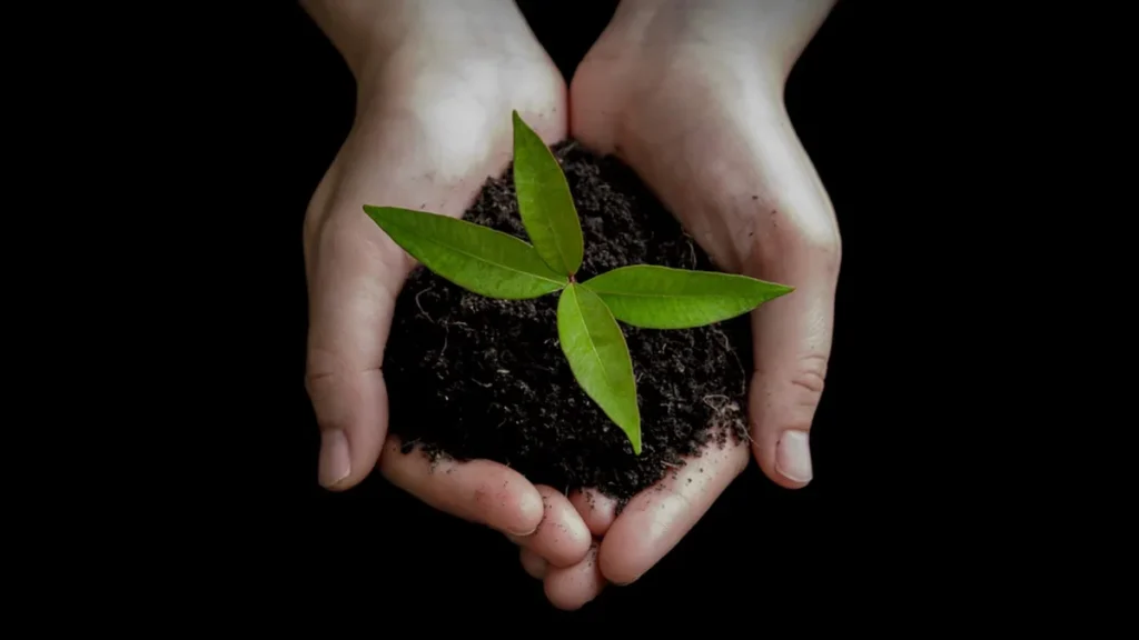Imagem Ecologia do artigo COP 30 e a responsabilidade pela Casa Comum