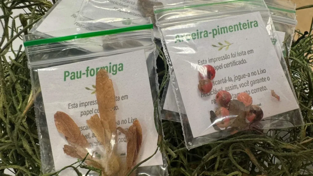 Imagem sementes natal 2025 do artigo Santuário distribui sementes em Gesto Concreto de Natal