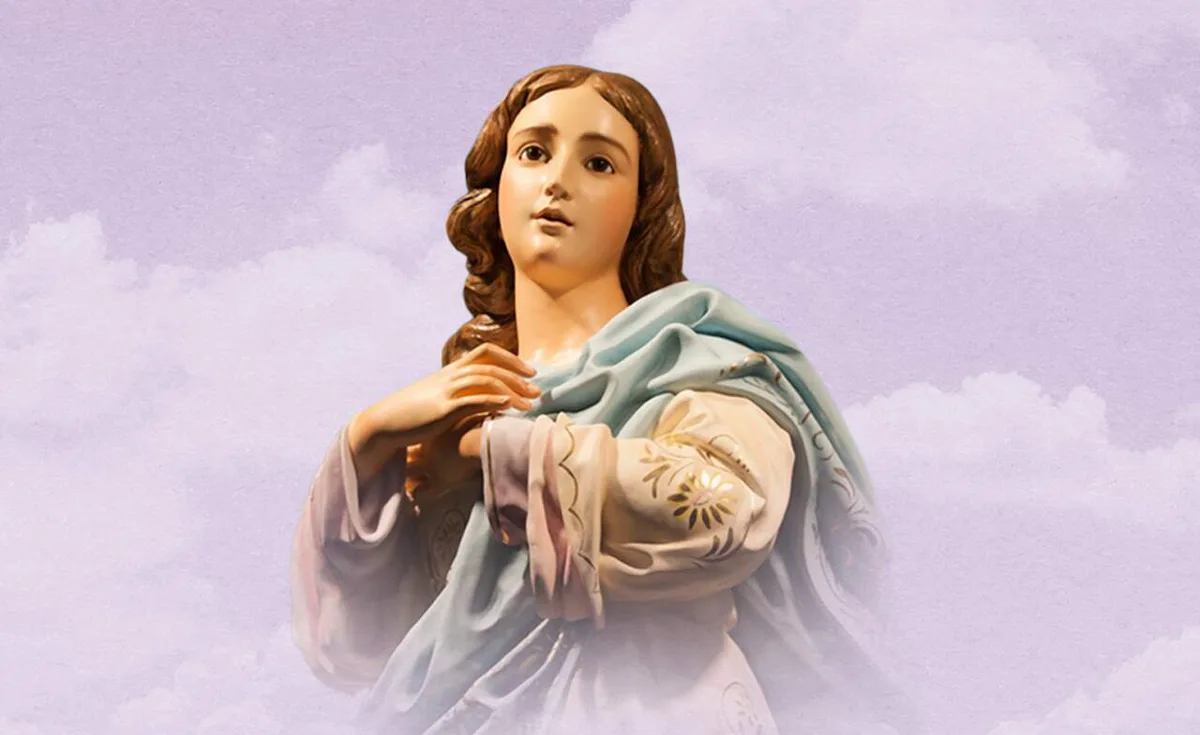 Montagem Maria Alice Campos/A12