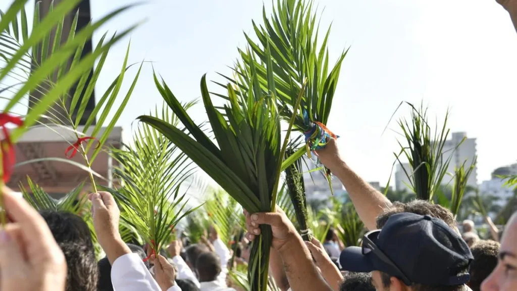 Imagem Domingo de Ramos 2022 do artigo Reflexões para a Semana Santa: Domingo de Ramos