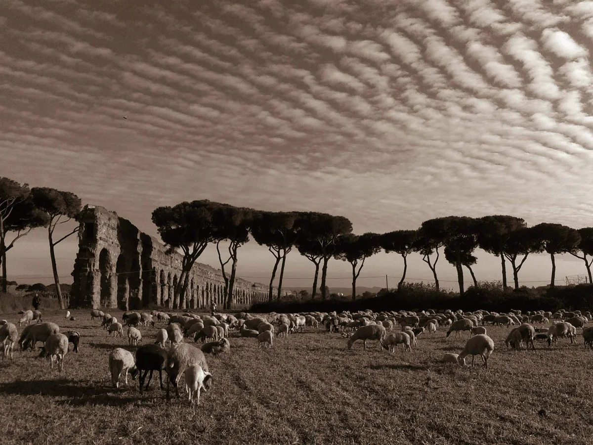 Carratoni/Adobe Stock