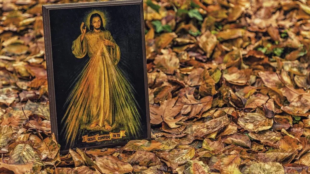 Imagem icone de Jesus misericordioso no chao com folhas do artigo Um encontro com a misericórdia