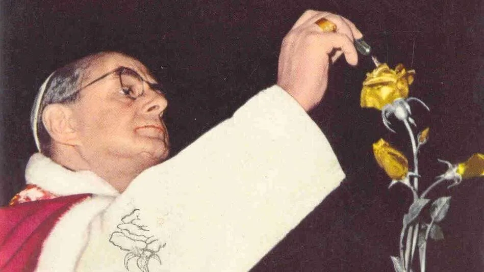 CDM