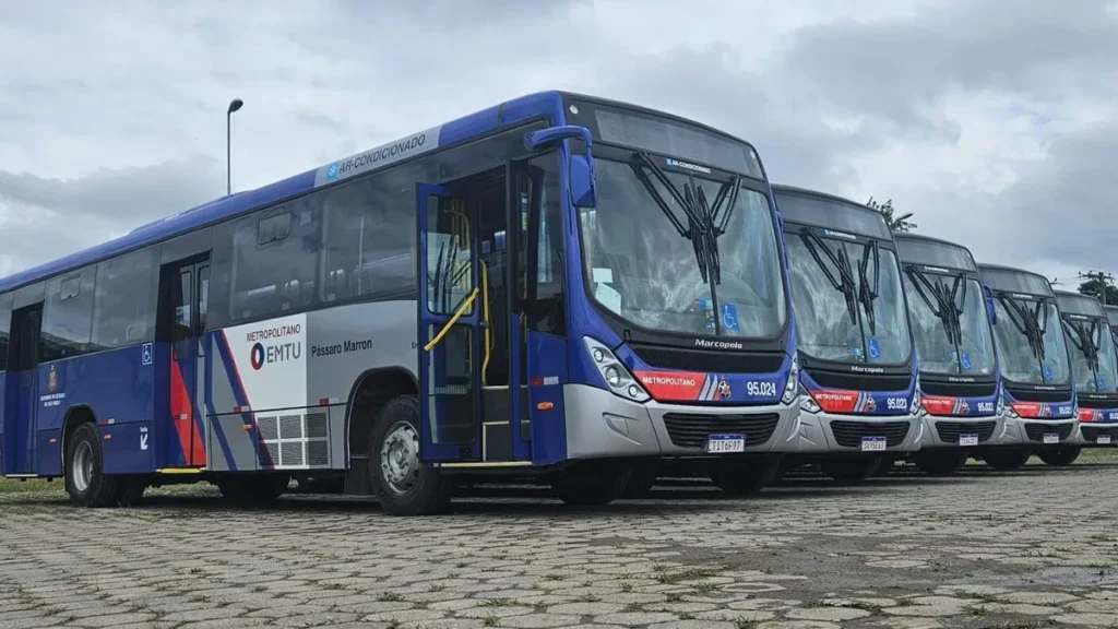 Imagem emtu Passaro Marron do artigo Ônibus intermunicipais têm aumento a partir de 7 de janeiro
